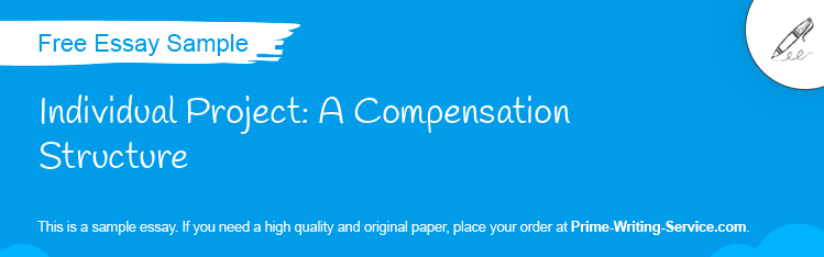 Free «Individual Project: A Compensation Structure» Essay Sample